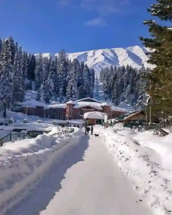 The Best Winter Vacations in India