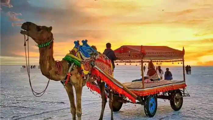 The Best Winter Vacations in India