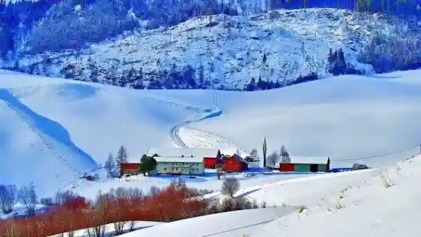 The Best Winter Vacations in India